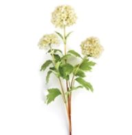 VIBURNUM 30" BERRY BRANCH
