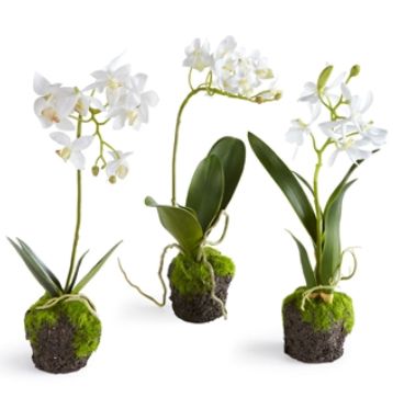 Orchid 12" Drop-in