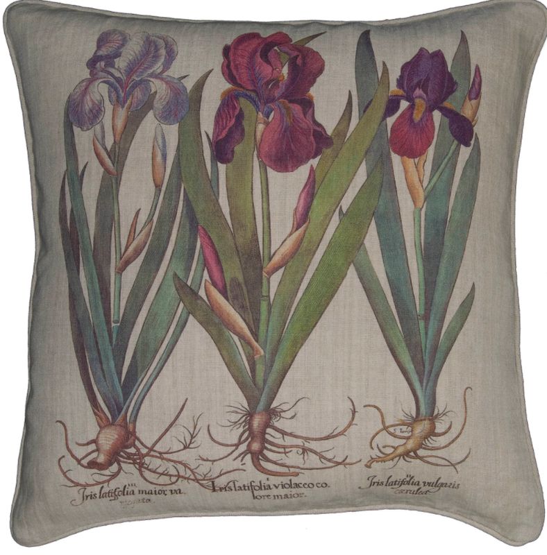 Painted Iris Group Pillow