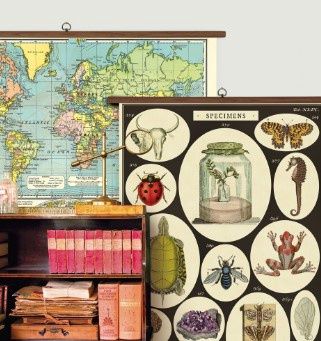 Vintage School Charts