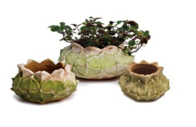 Corona Planter