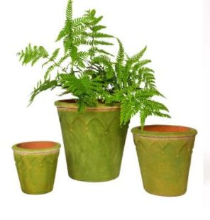 Harlequin Planter
