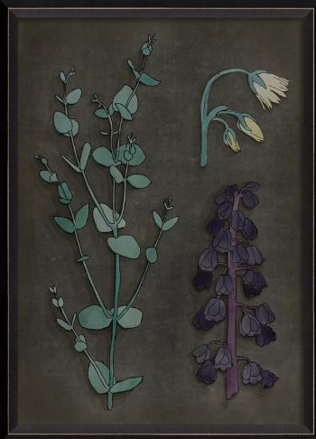 BC Botanicals on Black - Eucalyptus and  Purple