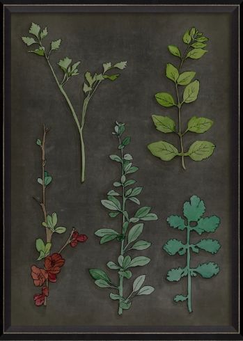 BC Botanicals on Black - Red Flowers and  Leaves