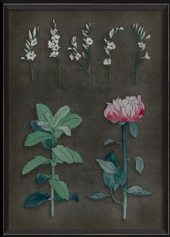 BC Botanicals on Black - Peony