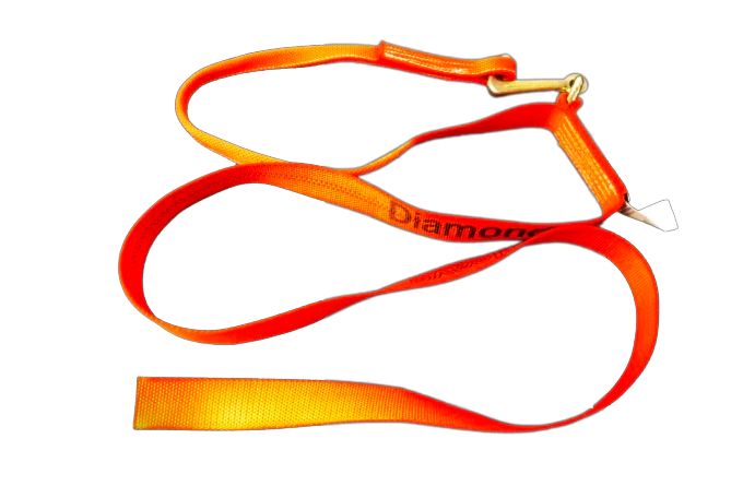 2" x 12' Mini J Loop Thru Straps with Ratchet
