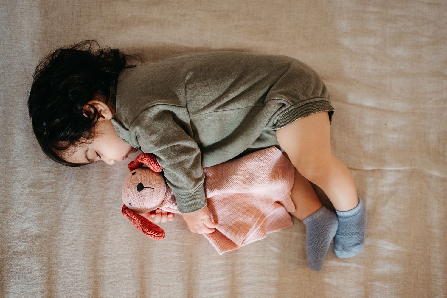 Puppy Comforter Rattle Toy