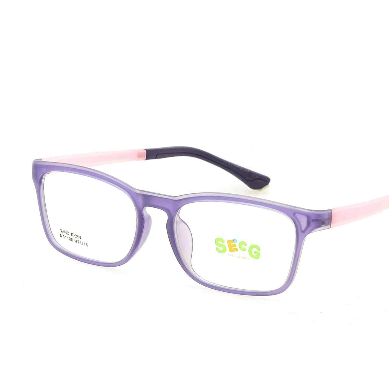 Secg Na1100