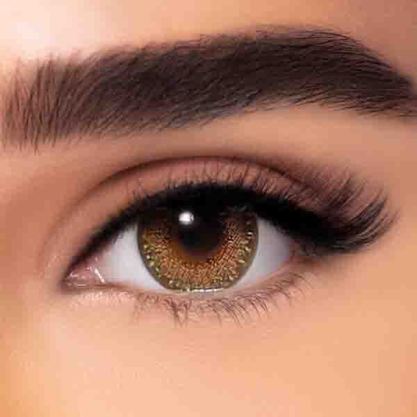 Occasions  One- Day Mystic  Hazel 30 Pack