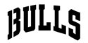Chicago Bulls &quot;Script&quot; Stencil