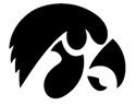 Iowa Hawkeyes &quot;Primary Logo&quot; Stencil