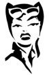 &quot;Catwoman #3&quot; Stencil