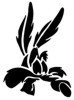 &quot;Wile E Coyote&quot; Stencil
