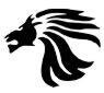 Lion Stencil #3