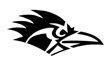 Roadrunner Stencil
