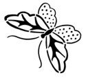 Butterfly Stencil #2