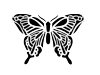 Butterfly Stencil #24