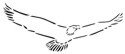 Flying Eagle Stencil #4