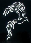 Phoenix Stencil
