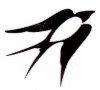 Flying Bird Stencil
