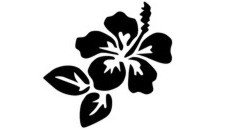 Hibiscus Flower Stencil #6