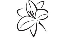 Lily Flower Stencil #8