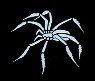 Spider Stencil #3
