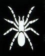 Spider Stencil #5