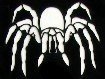 Spider Stencil #6