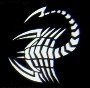 Scorpion Stencil #1