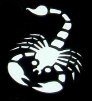 Scorpion Stencil #2