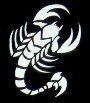 Scorpion Stencil #4