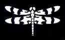 Dragonfly Stencil #1