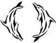 Two Swimming Dolphins Stencil #3