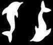 Double Silhouette Dolphin Stencil #5