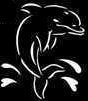 Jumping Dolphin Stencil #6