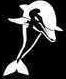 Jumping Forward Dolphin Stencil #13