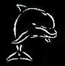 Jumping Dolphin Stencil #14
