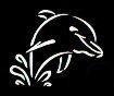 Dolphin Jumping Out of Water Stencil #16