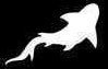 Shark Silhouette Stencil #3