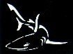 Swimming Shark Stencil #4