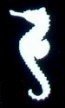 Another Seahorse silhouette Stencil #2