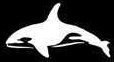 Orca Whale Stencil