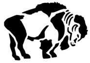 Native American &quot;Buffalo&quot; Stencil #9