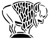Native American &quot;Buffalo&quot; Stencil #18