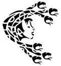 &quot;Medusa&quot; Stencil