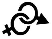 &quot;Male/Female&quot; Stencil