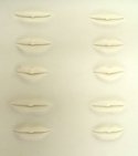 3D Permanent Makeup &quot;Lip&quot; Practice Skin Sheet