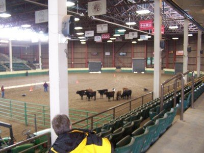 Herding Trials &amp; Tests