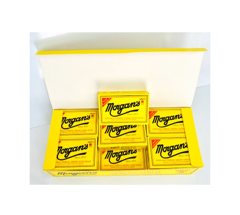 Antibacterial Medicated Soap - 12 Pack